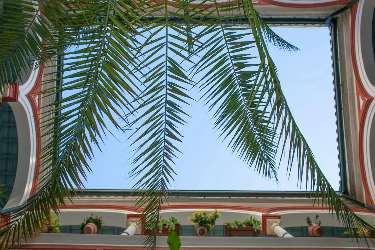 Alohamundi Alfalfa Seville